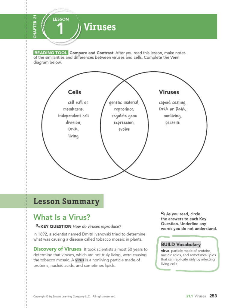 CH.21 Viruses, Prokaryotes, Protists, and Fungi | PDF | Virus | Fungus