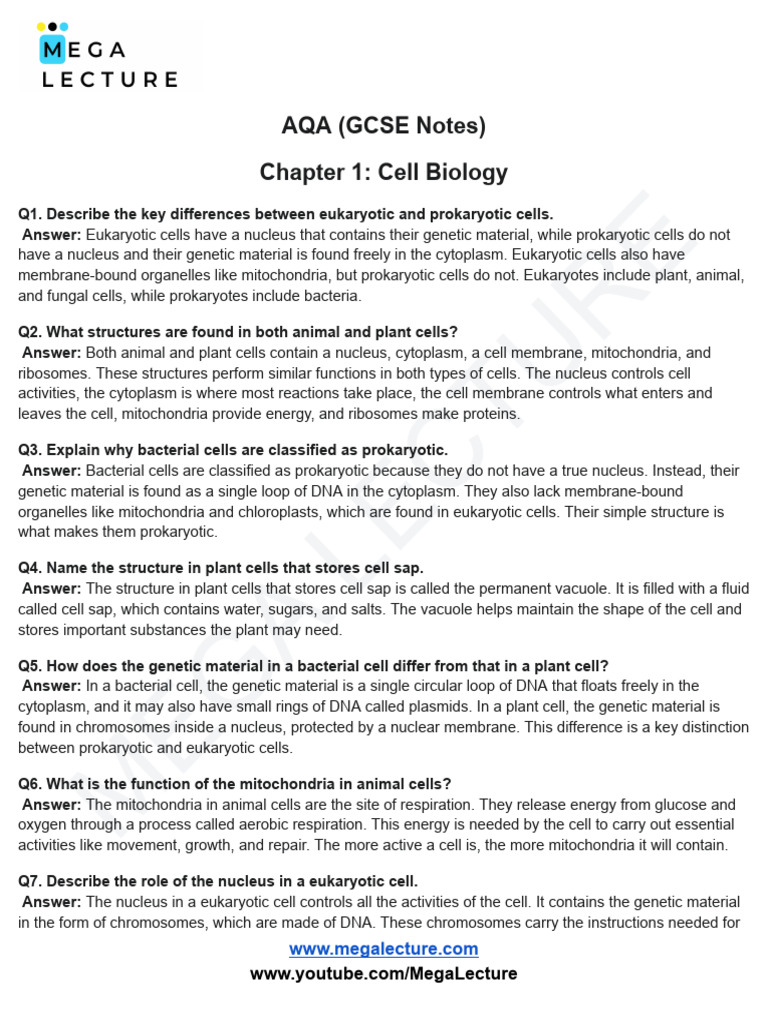 Chapter-1 - Cell-Biology-Worksheetshistology Final | PDF | Cell ...