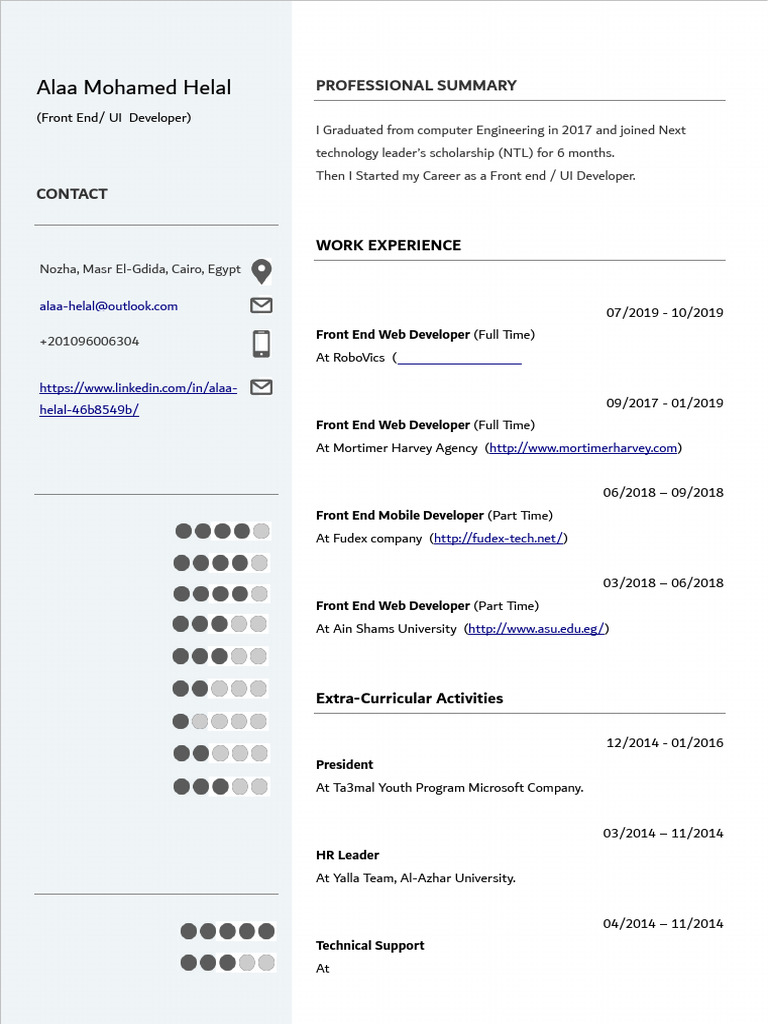 Alaa Helal CV Developer | PDF | World Wide Web | Internet & Web