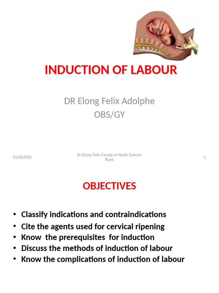 Induction Labour | PDF | Childbirth | Motherhood