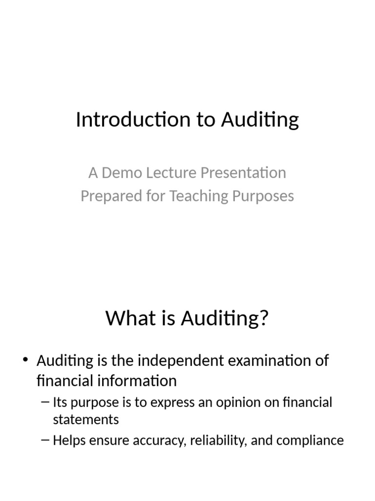 Introduction To Auditing Demo | PDF