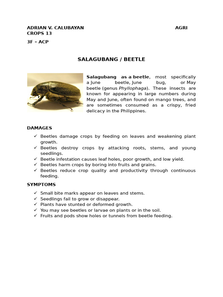 Adrian V | PDF
