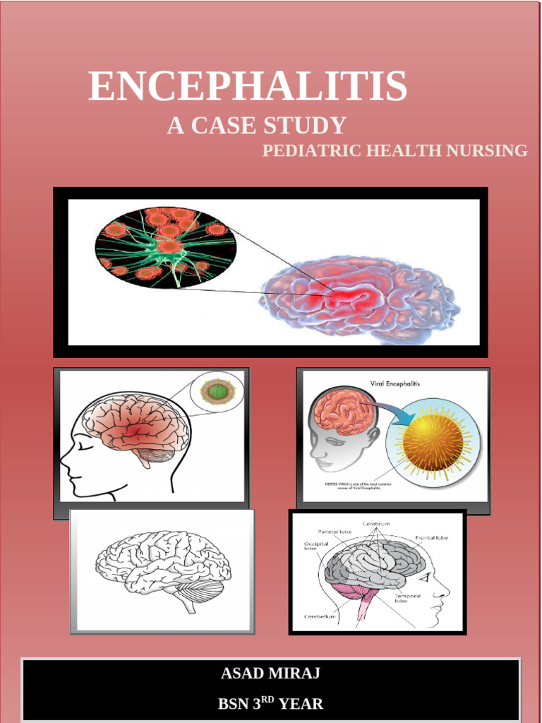 Peads Project Final Asad | PDF