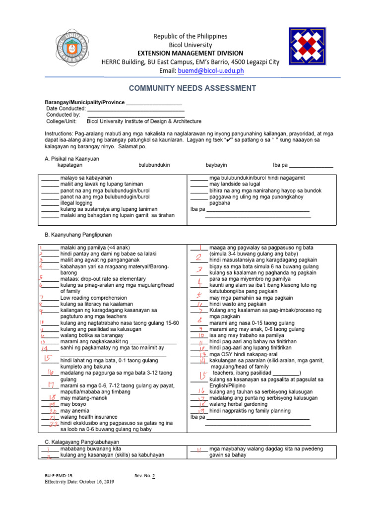 Community Needs Assessment | PDF