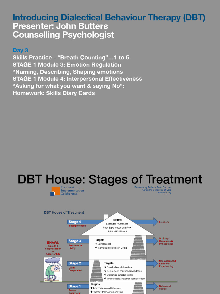 Pesi Au DBT Summit Day 3 Presenter Slides | PDF | Dialectical Behavior ...