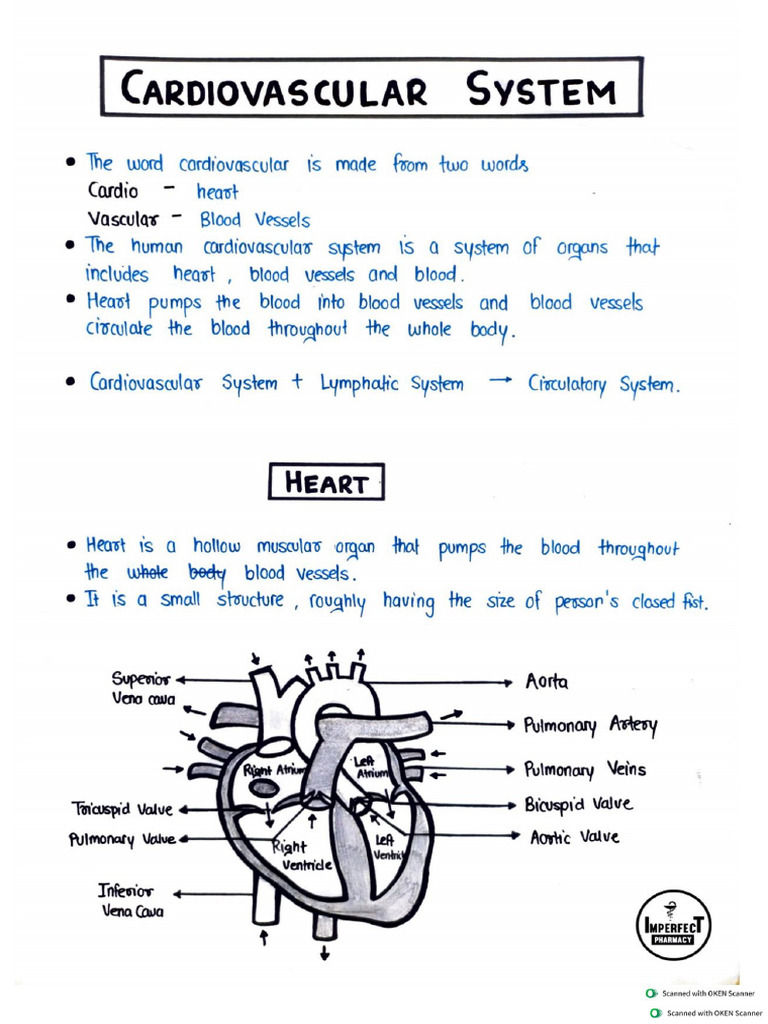 UNIT 5 HAP (Imperfect Pharmacy) | PDF