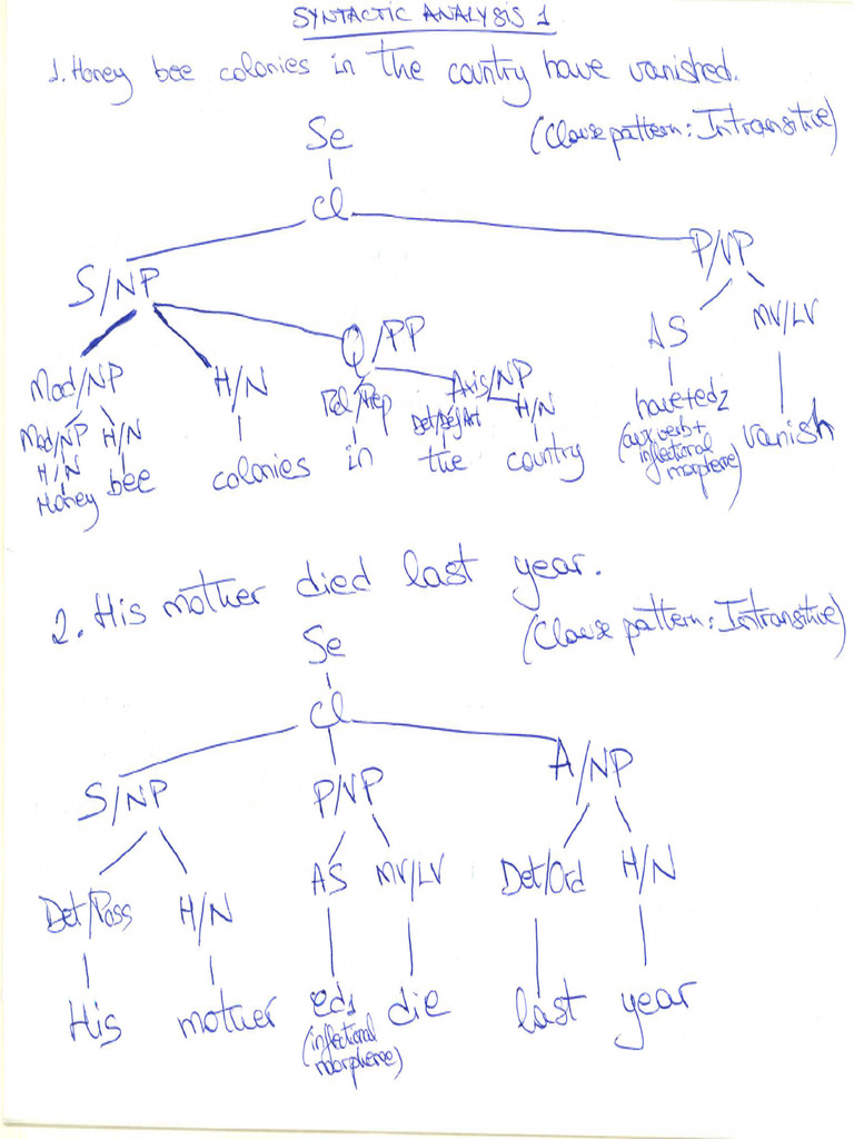 Syntactic Analysis 1 KEY | PDF