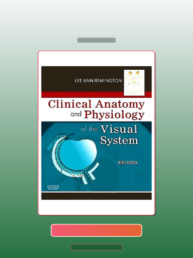 Clinical Anatomy and Physiology of the Visual System 3rd Edition E-book ...
