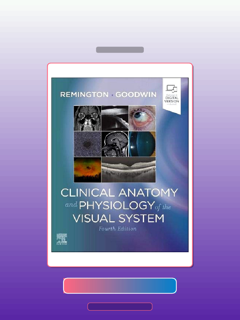 Clinical Anatomy and Physiology of the Visual System 4th Edition E-book ...