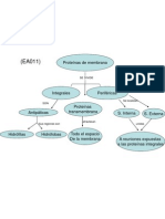 Ea09 Proteinas