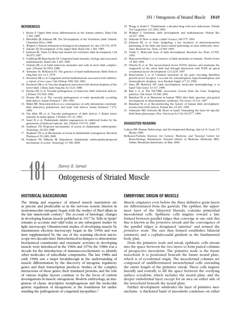 Ontogenesis of Striated Muscle, EMBRYONIC ORIGIN OF MUSCLE | PDF ...