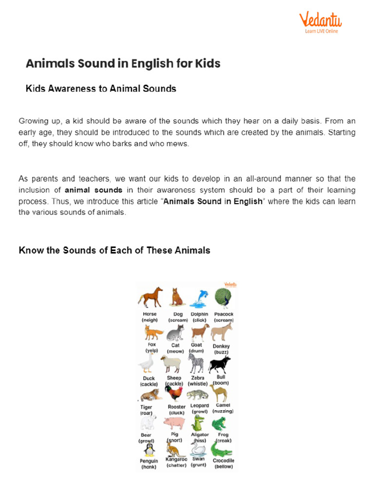 Animals Sound in English For Kids | PDF