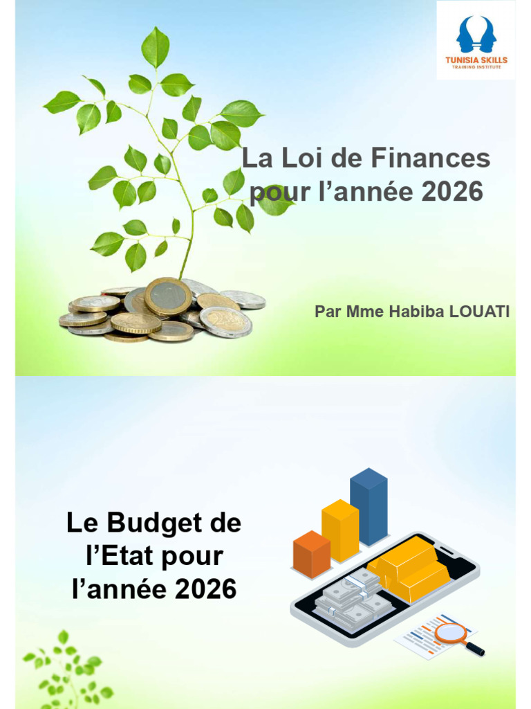 Support La Loi de Finances Pour L'année 2026 | PDF | Facture | Invalidité