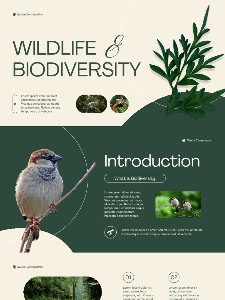 Cream and Green Minimalist Nature Conservation Presentation_20260126 ...