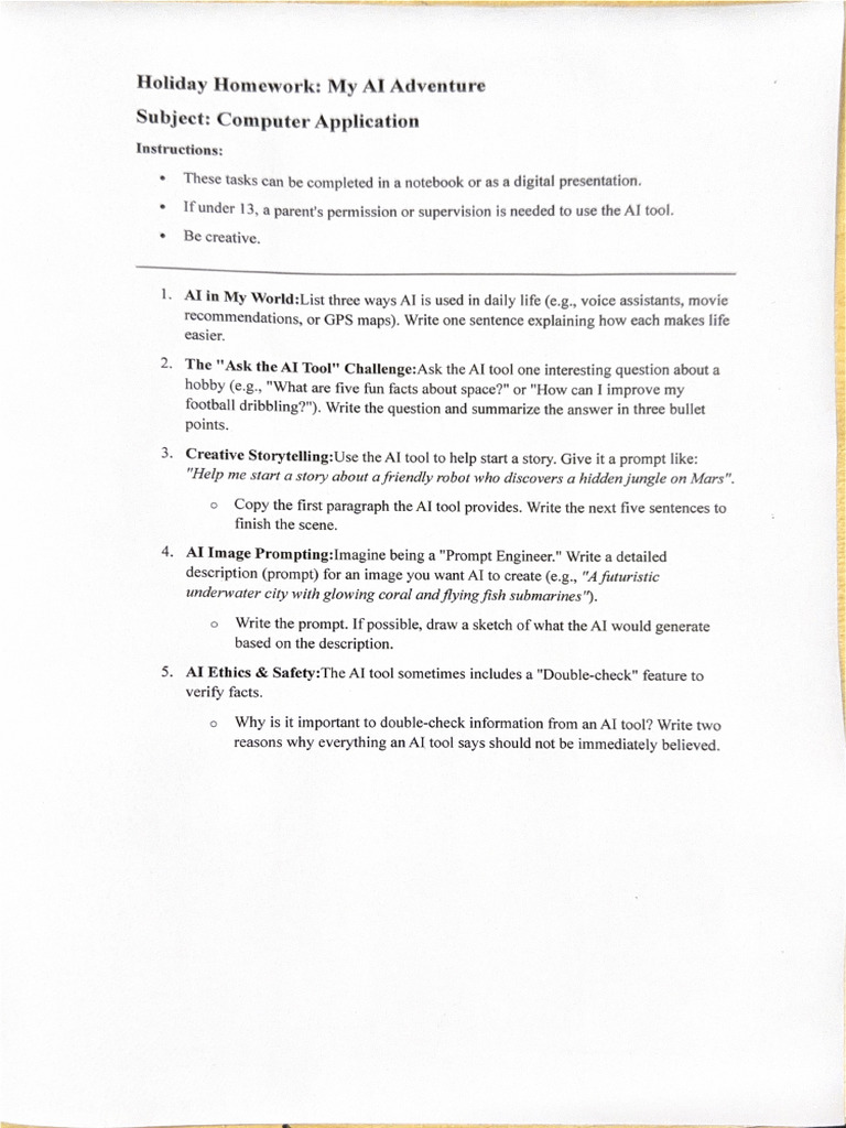 Holiday Homework Computer | PDF