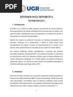 Estructura y Composición del Tendón | PDF | Tendón | Anatomía