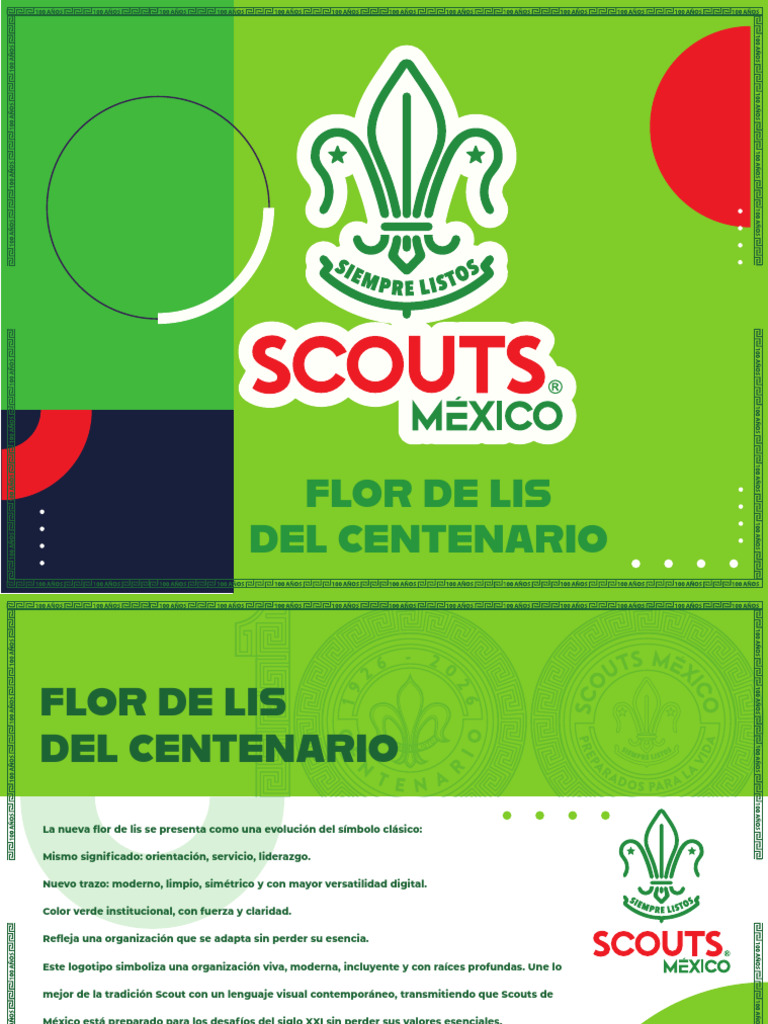 Manual de Identidad Flor de Lis Centenario | PDF | Exploración ...