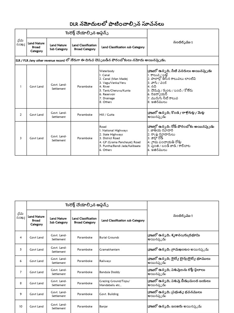 DLR Data Entry Instructions | PDF