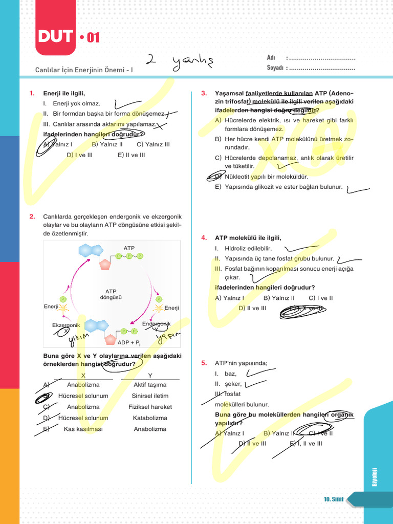 Ornek 57563 | PDF