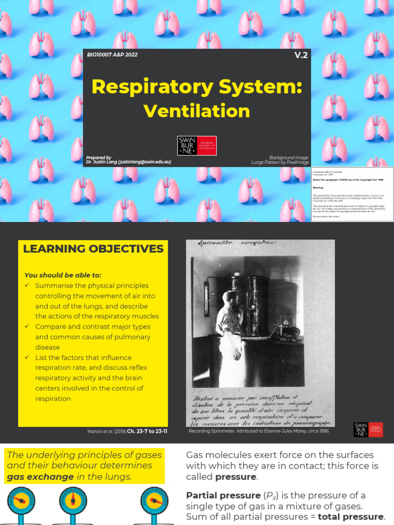 BIO10007 - V.2 - Respiratory System - Ventilation | PDF | Breathing ...