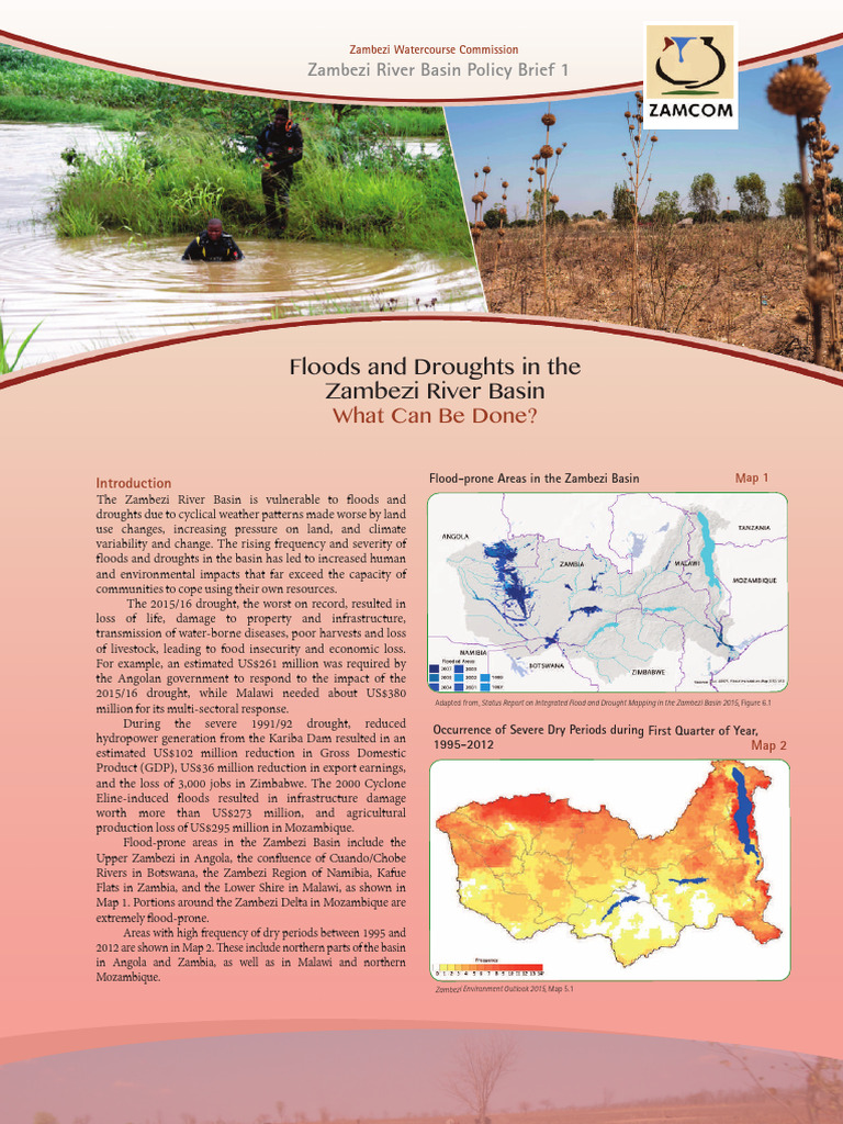 Floods and Drought Policy Brief | PDF | Drought | Flood