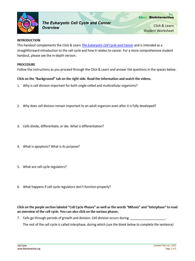 Cell Cycle Overview | PDF | Cell Cycle | Tumor Suppressor Gene