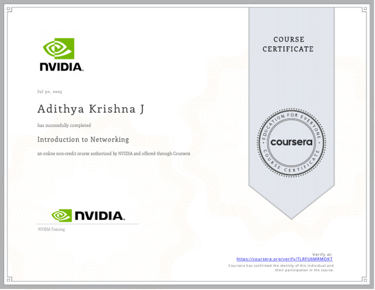 NVIDIA | PDF