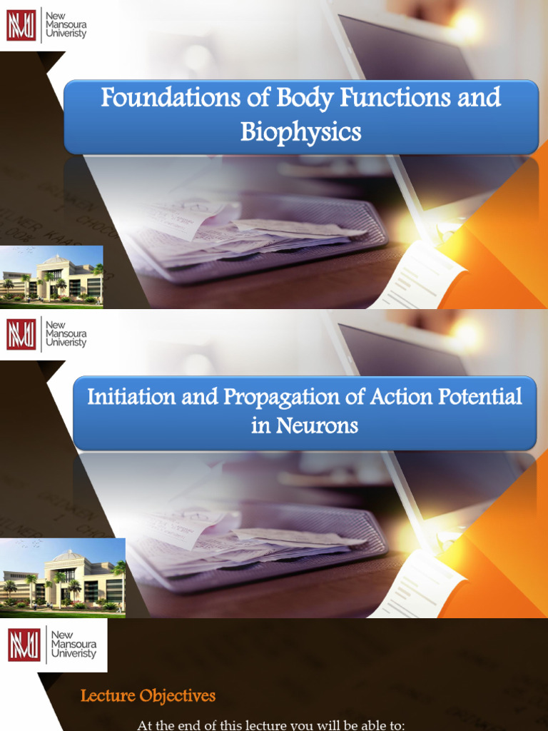 L5 - Action Potential Functions of Body | PDF | Action Potential | Axon