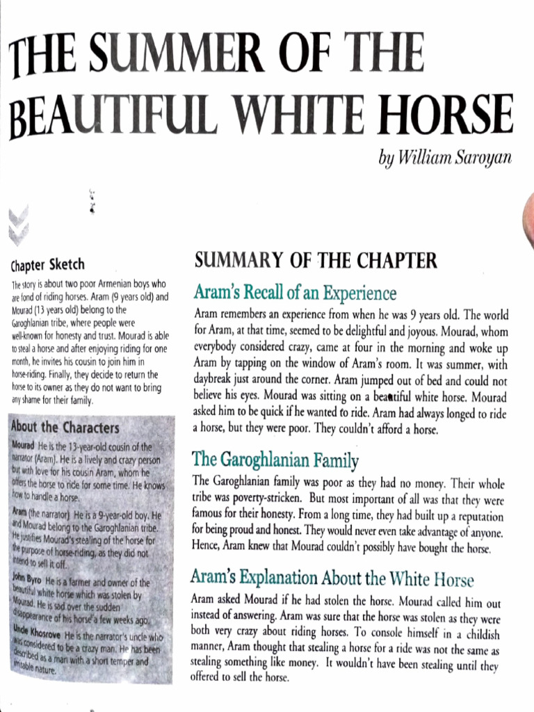 Summer of The Beautiful White Horse | PDF