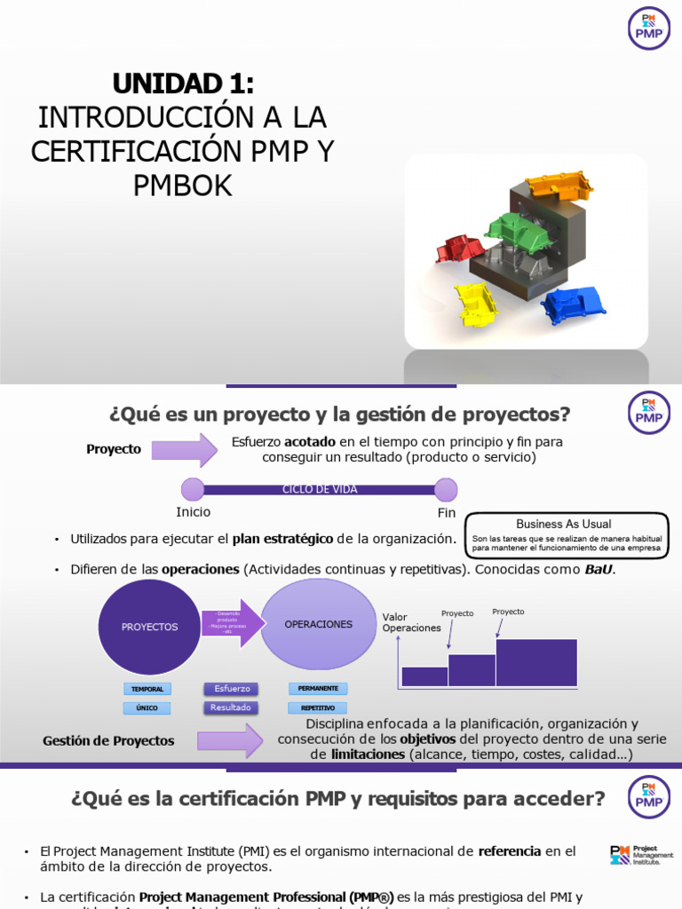 Pmp+Pmbok Unidad 1 | PDF | Gestión de proyectos | Business