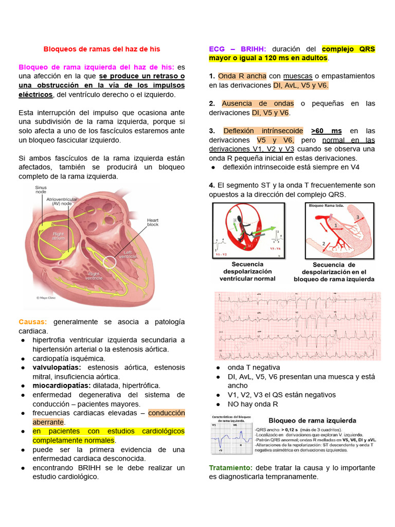 Cardio 3° Parcial | PDF | Hipertensión | Infarto de miocardio