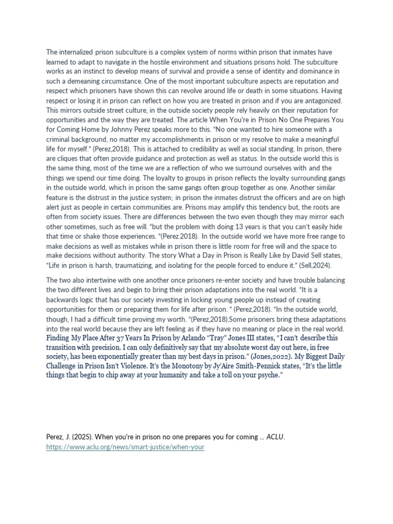 Final Edited | PDF | Prisoner | Prison