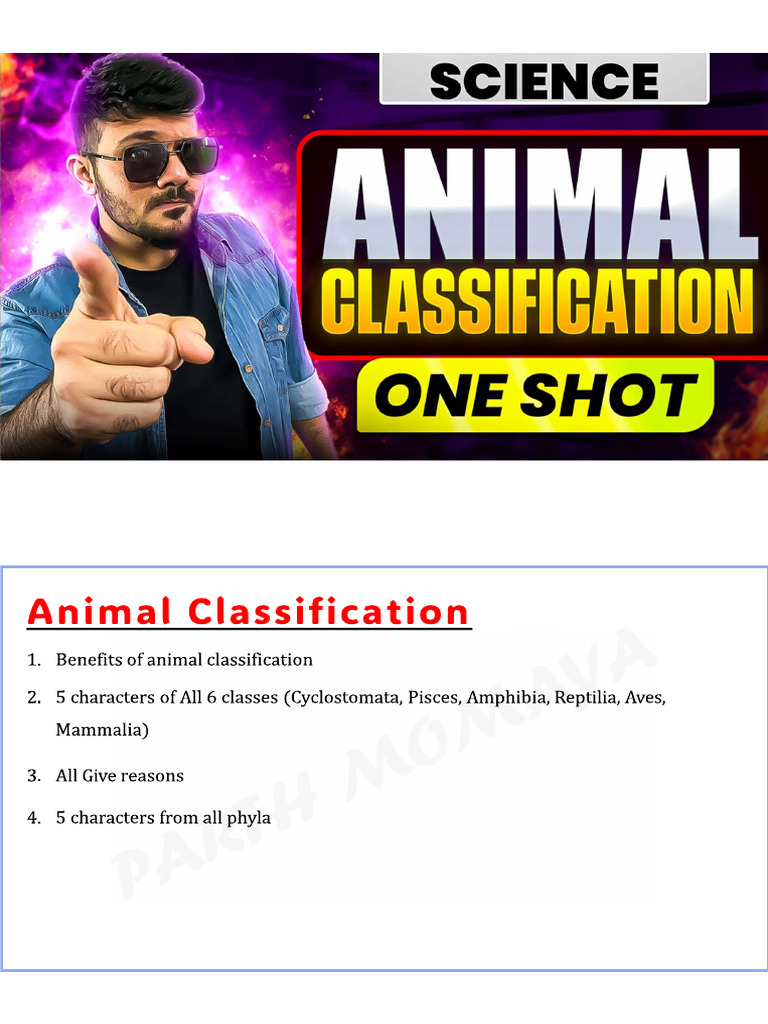 Animal Classification Short Notes | PDF