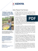 USAID-KHCP Snapshot - New Innovation Benefits Yellow Passion Fruit Farmers