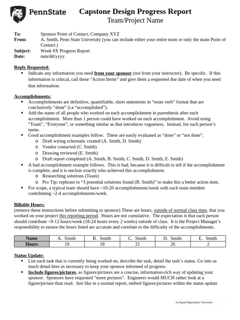 Progress Report Template | PDF