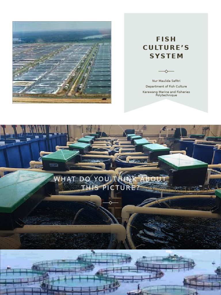 14th Meeting | PDF | Aquaculture | Fish