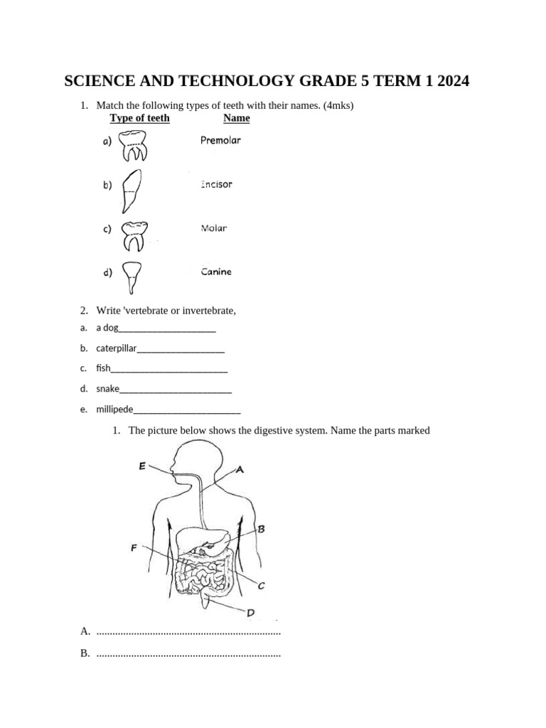Grade 5 Science and Technology | PDF | Seed