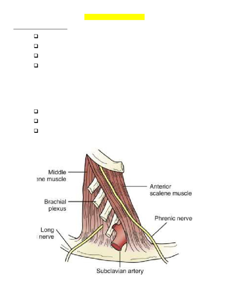 Thoracic Outlet Syndrom1 | PDF | Angiology | Primate Anatomy