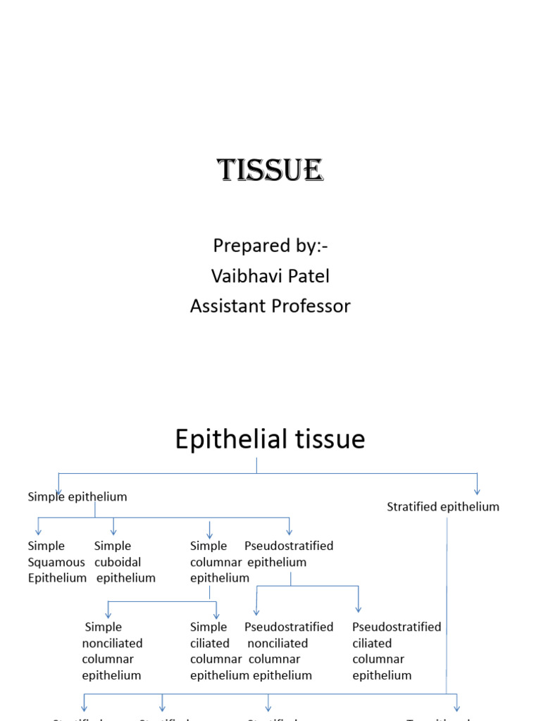Tissue | PDF