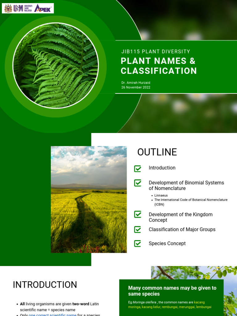 JIB115 Plant Names Classification | PDF | Species | Taxonomy (Biology)