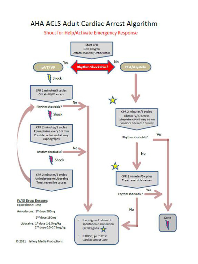 Cardiac Arrest 1 | PDF
