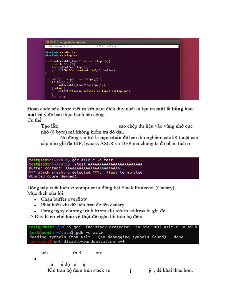 Bypass | PDF