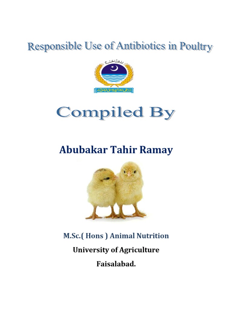 Responsible Use Of Antibiotics In Poultry Pdf Poultry Farming