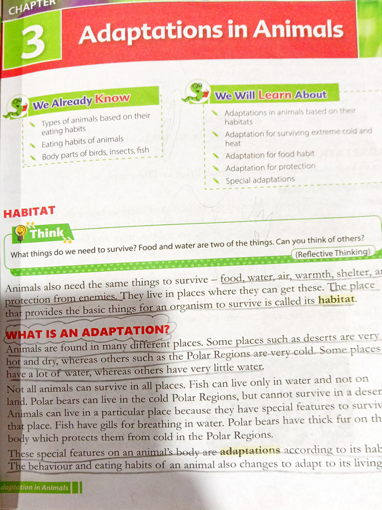 CL 4 Adaptation in Animals | PDF | Desert | Organisms