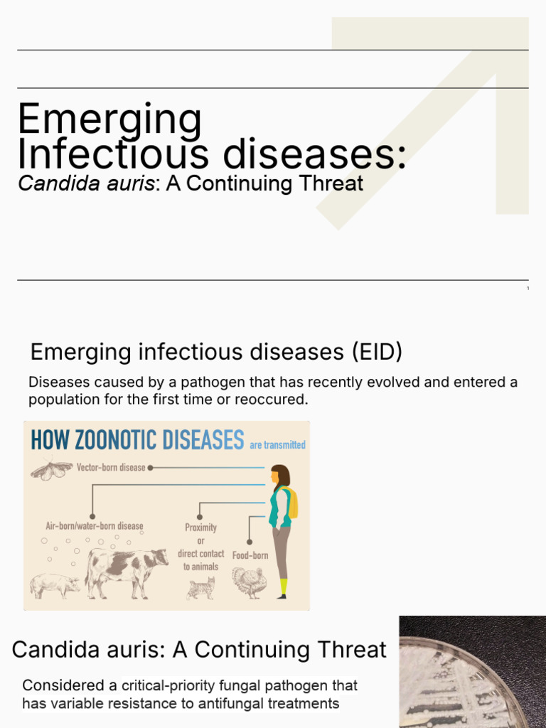 Candida Auris_ a Continuing Threat | PDF