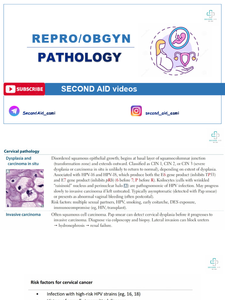 Repro Obgyn 9 | PDF