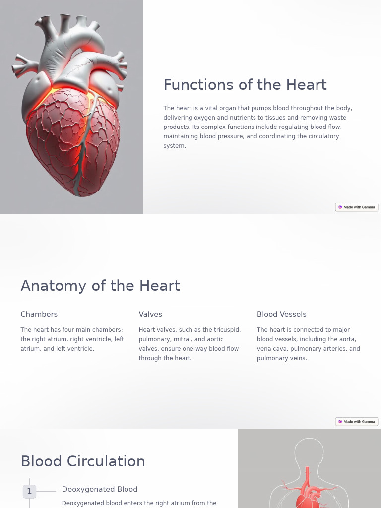 Functions of The Heart | PDF | Diastole | Heart