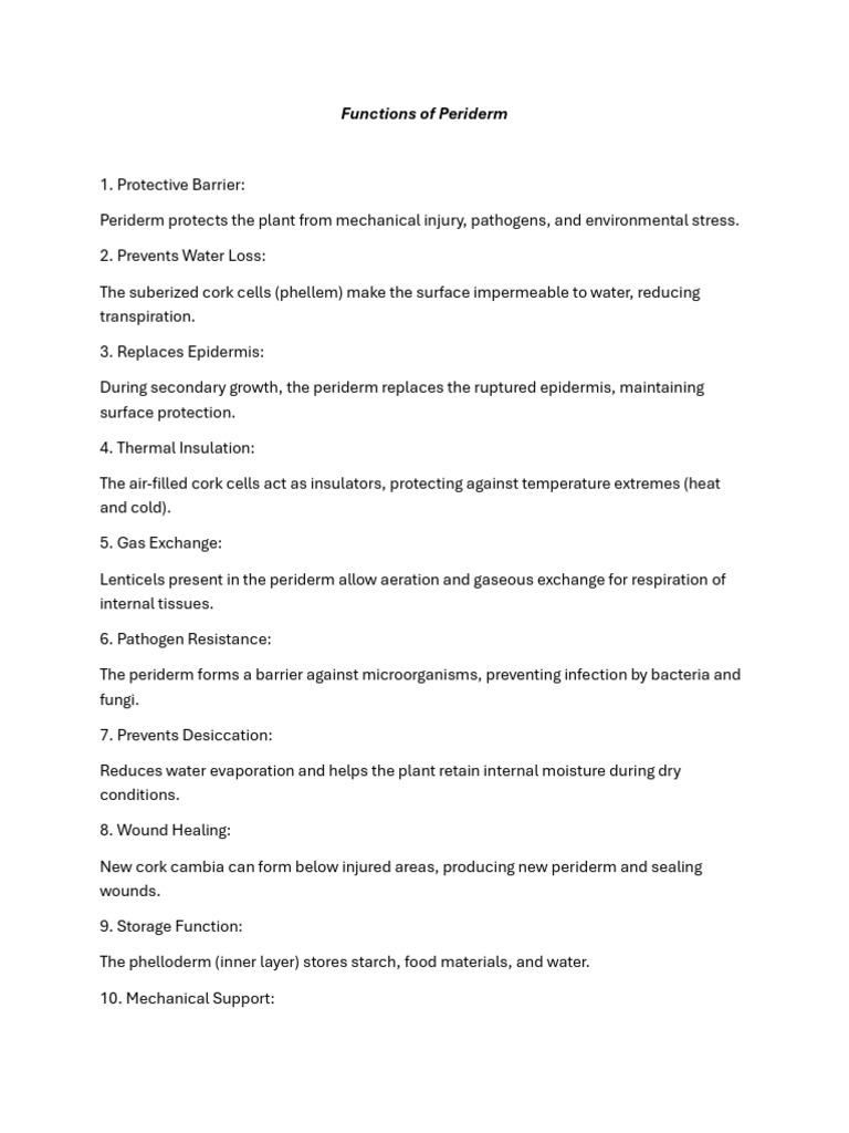 Function of Periderm | PDF