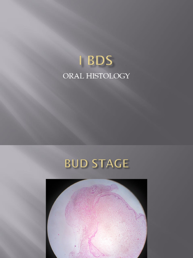 I Bds Slides | PDF