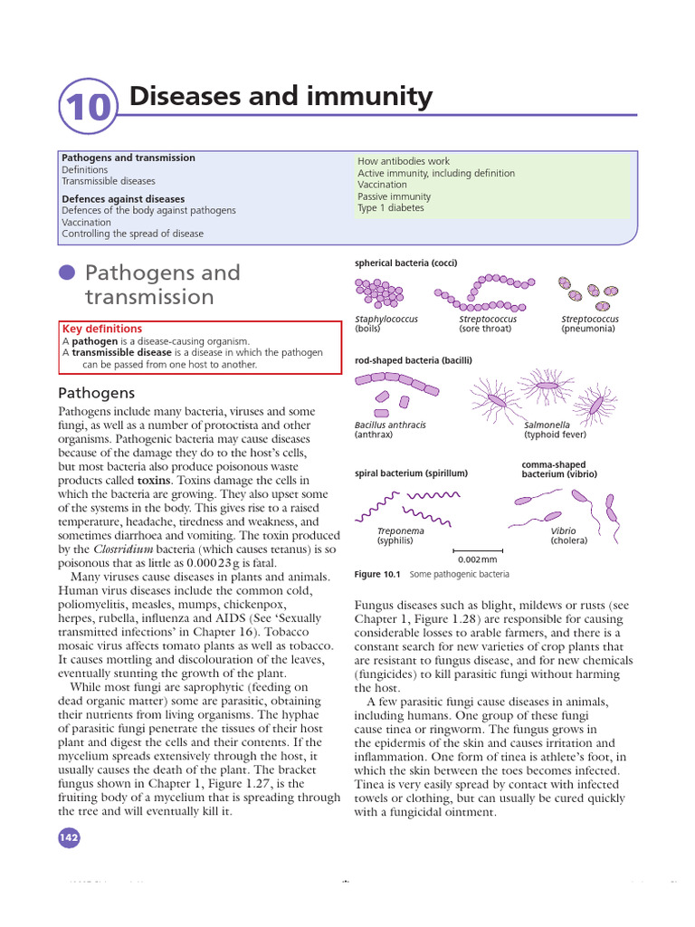 Immunity | PDF | Immune System | Antibody